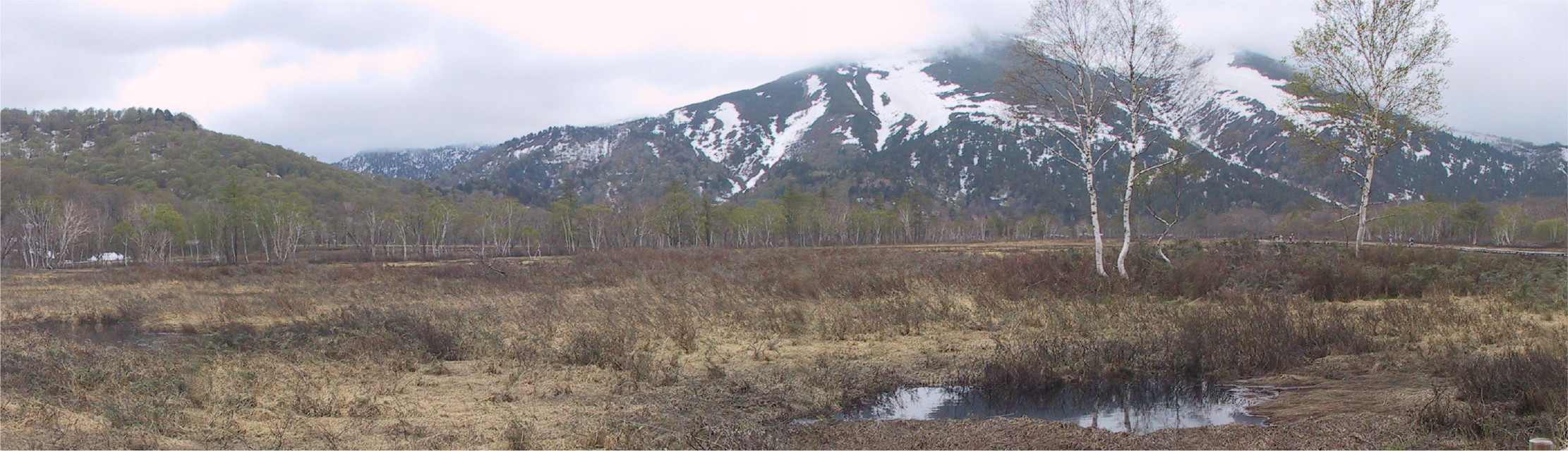 img0000.jpg