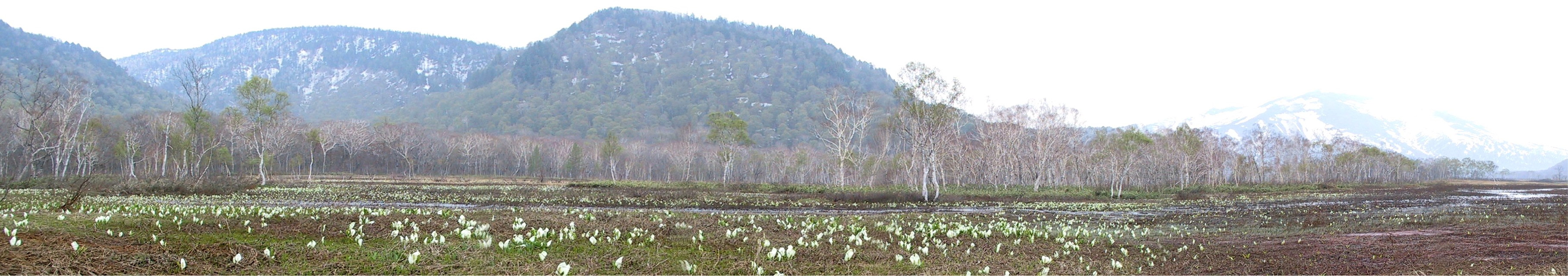 img0005.jpg