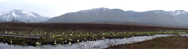 img0004.jpg